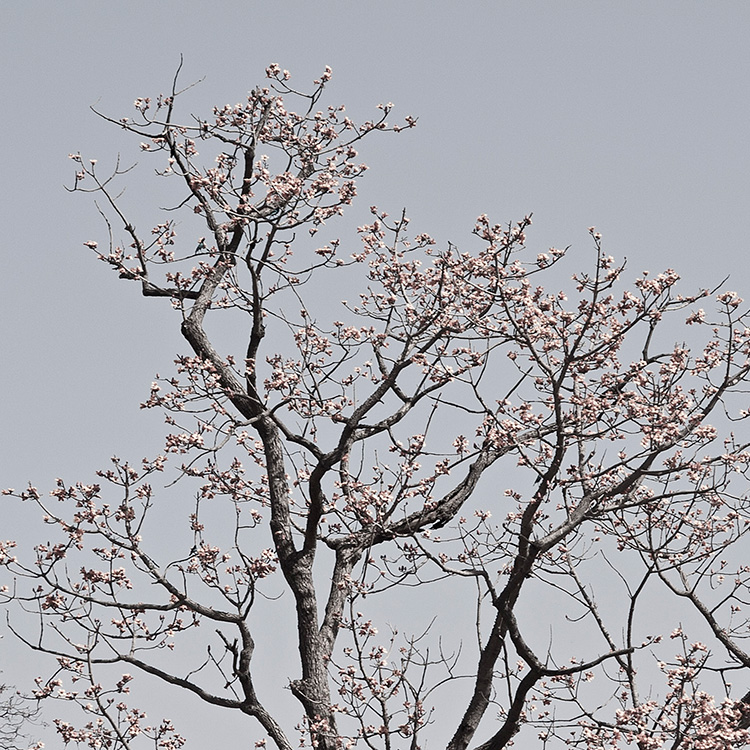 Fotógrafo profesional en Cáceres, Extremadura - personal